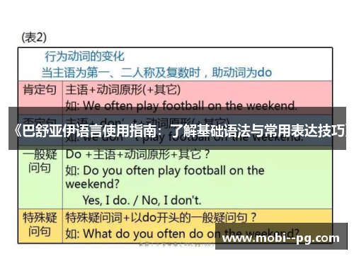 《巴舒亚伊语言使用指南：了解基础语法与常用表达技巧》