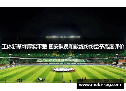 工体新草坪厚实平整 国安队员和教练纷纷给予高度评价