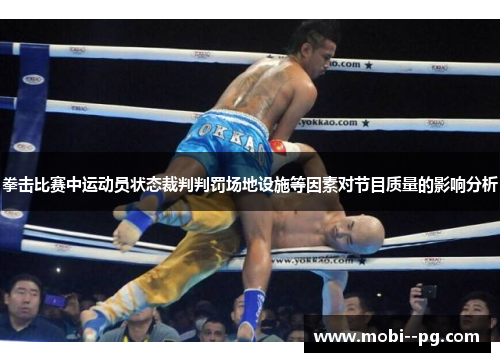 拳击比赛中运动员状态裁判判罚场地设施等因素对节目质量的影响分析 拳击比赛中运动员状态裁判判罚场地设施等因素对节目质量的影响分析