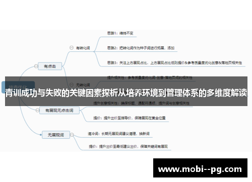 青训成功与失败的关键因素探析从培养环境到管理体系的多维度解读